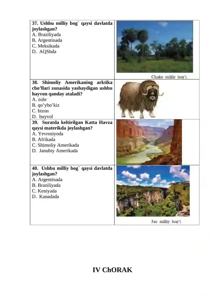 6-SINF PISA TESTLAR 2