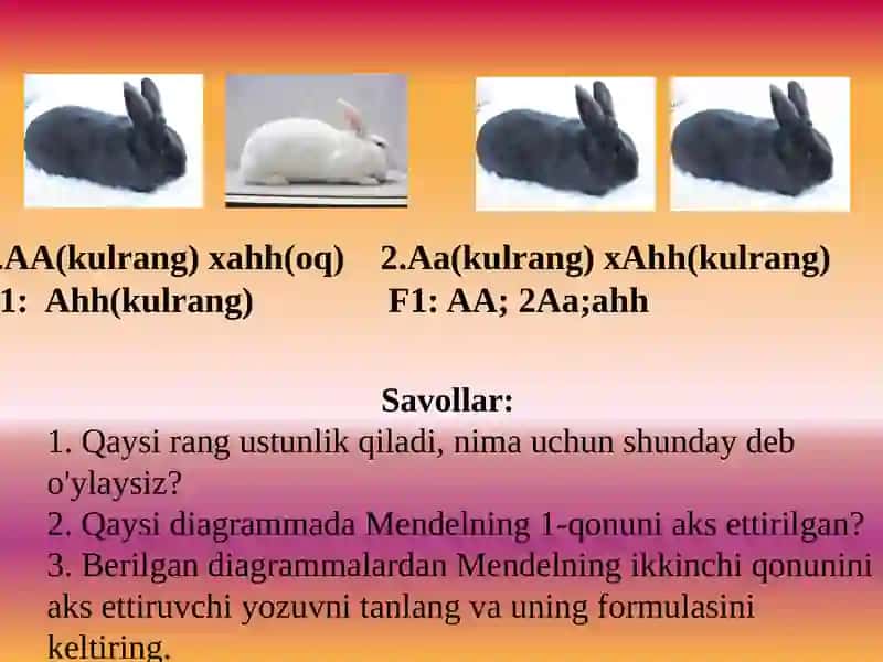 JINSGA BIRIKKAN GEN KASALIKLARI 2