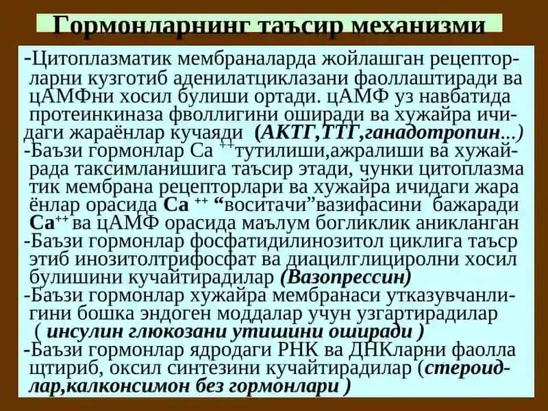 Гормонлар 2