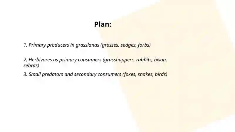 Grassland food chain 2