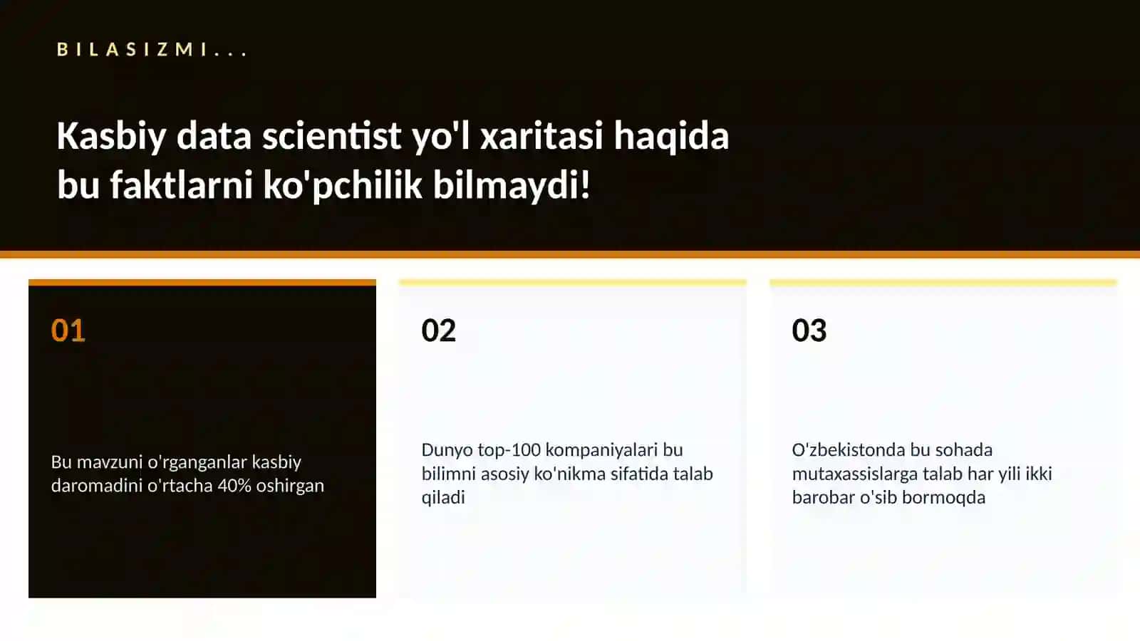 Kasbiy data scientist yo'l xaritasi 2