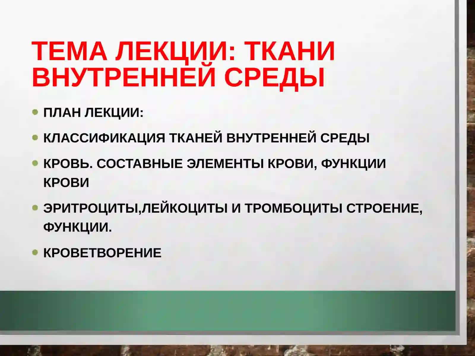 Кровь. Кроветворение 2