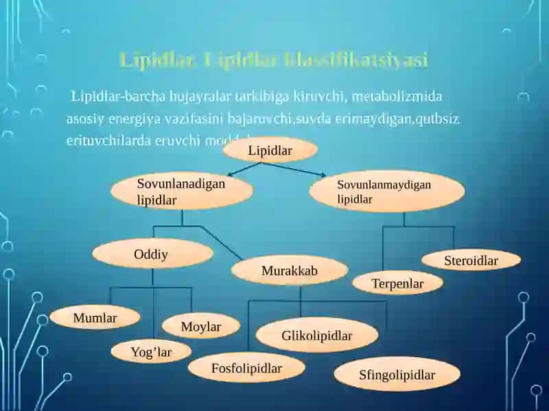 Lipidlar.Sovunlanadiganlipidlar 2