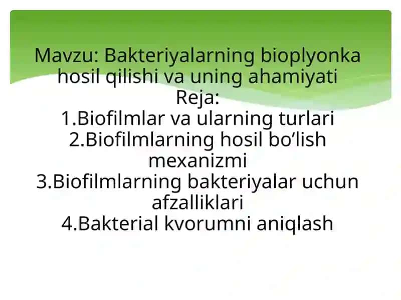 Bakteriyalarning bioplyonka hosil qilishi va uning ahamiyati 2