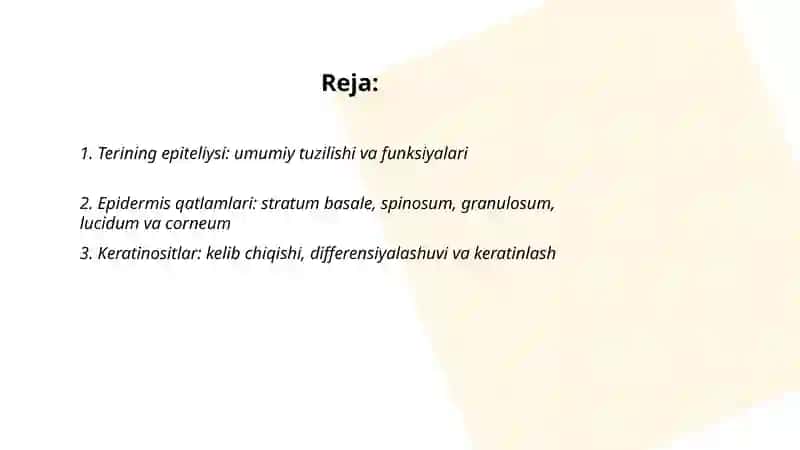 Teri va uning hosilalari teri epiteliysi 2