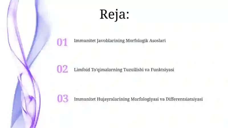 Suyak ko'migining morfologiyasi 2