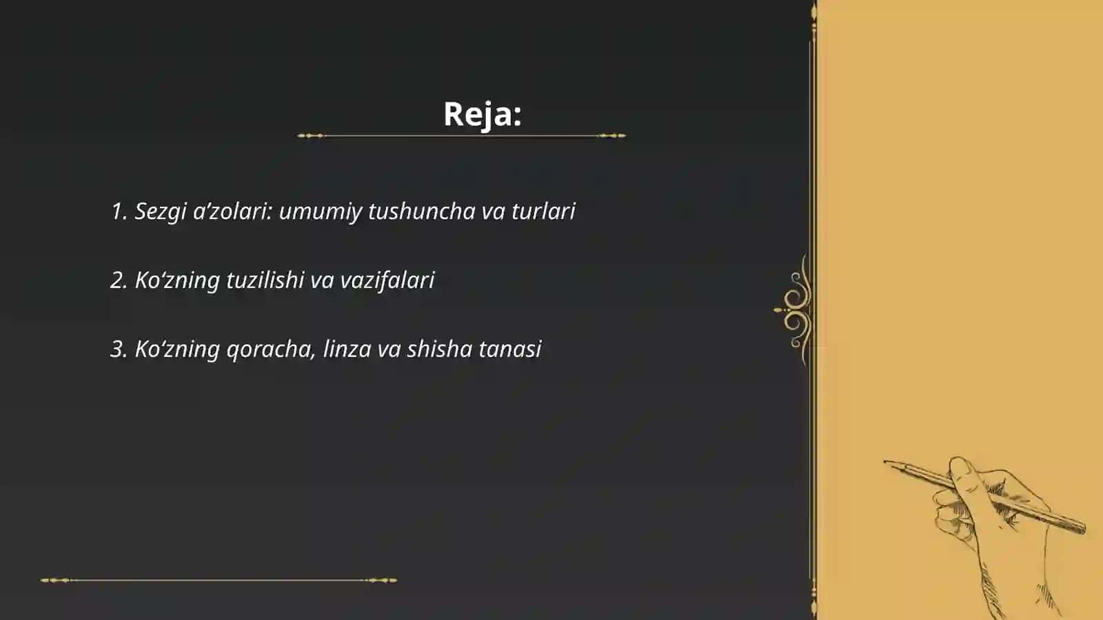 Sezgi a’zolari 2