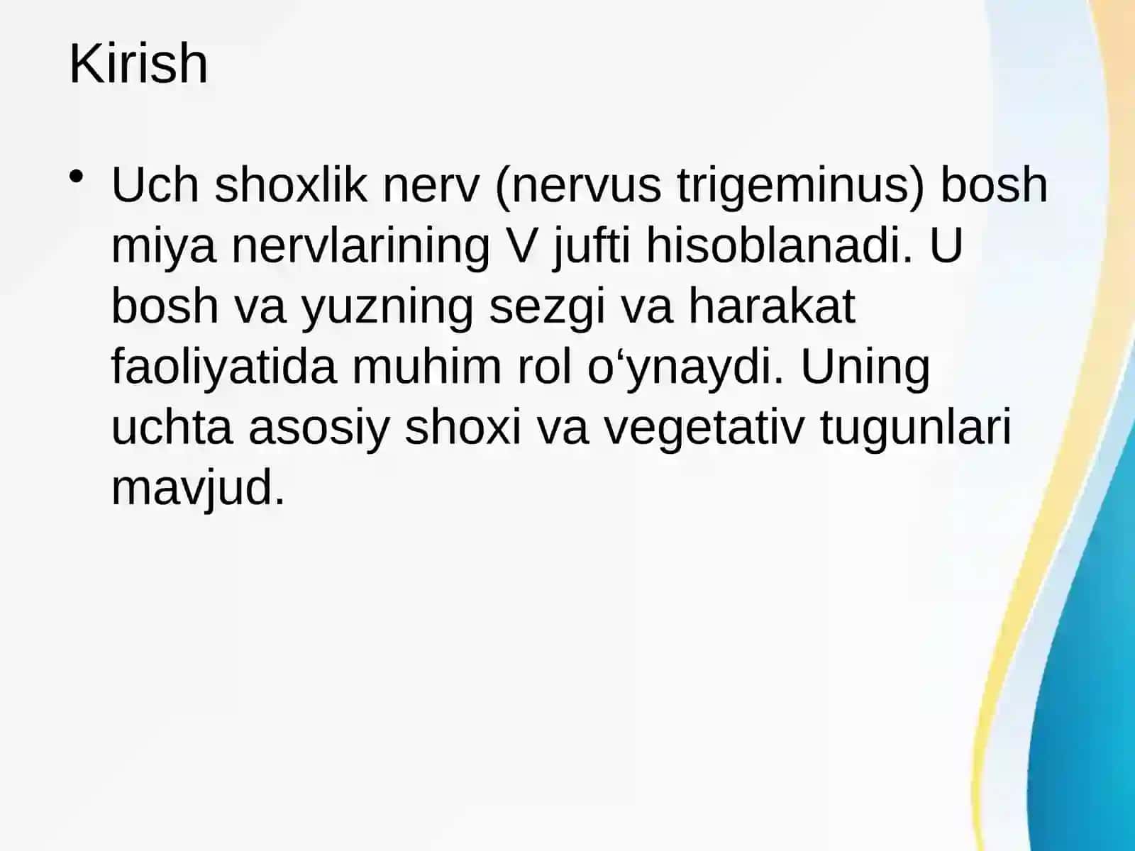 Uch Shoxlik Nerv va Uning Vegetativ Tugunlari 2