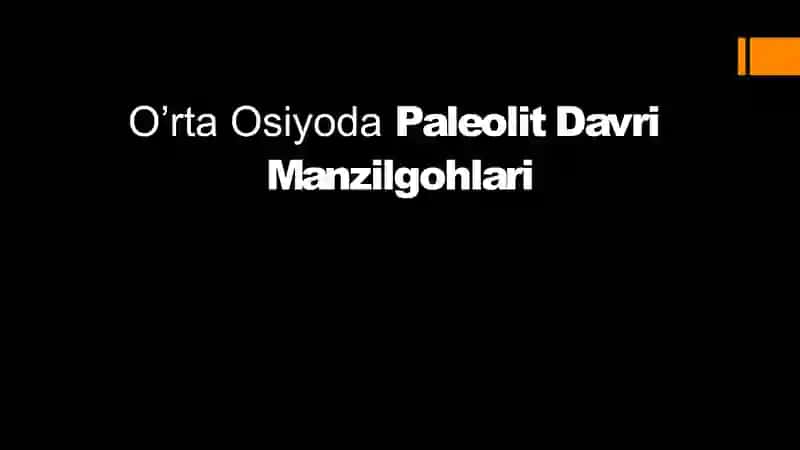 O’rta Osiyoda Paleolit Davri Manzilgohlari 2