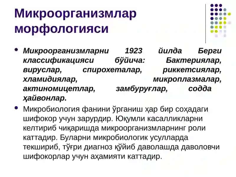 Микробиология, вирусология ва иммунология фани,унинг максади ва вазифалари. Микроорганизмларнинг морфологияси 2