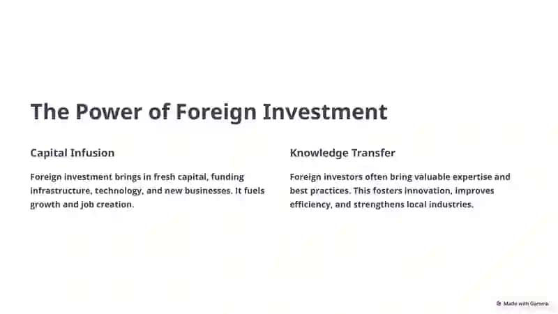 The Power of Foreign Investment 2