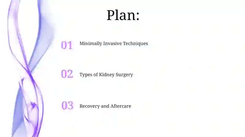 Kidney surgery 2