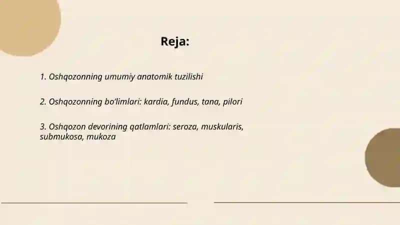 Oshqozonning umumiy anatomik tuzilishi 2