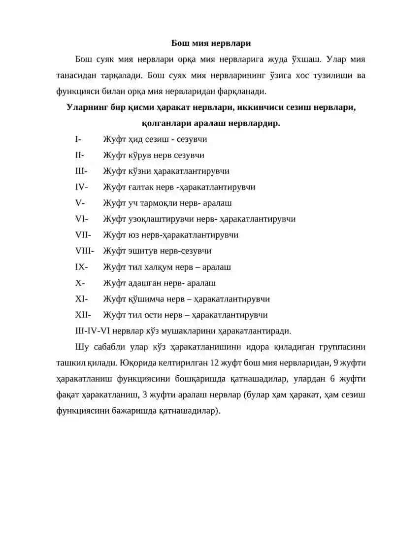 Бош мия нервлaри 2