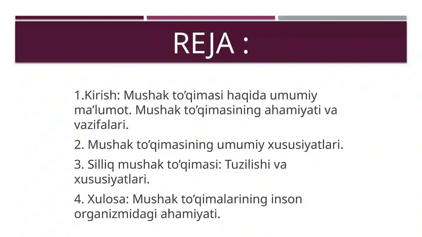 Mushak to’qimasi 2