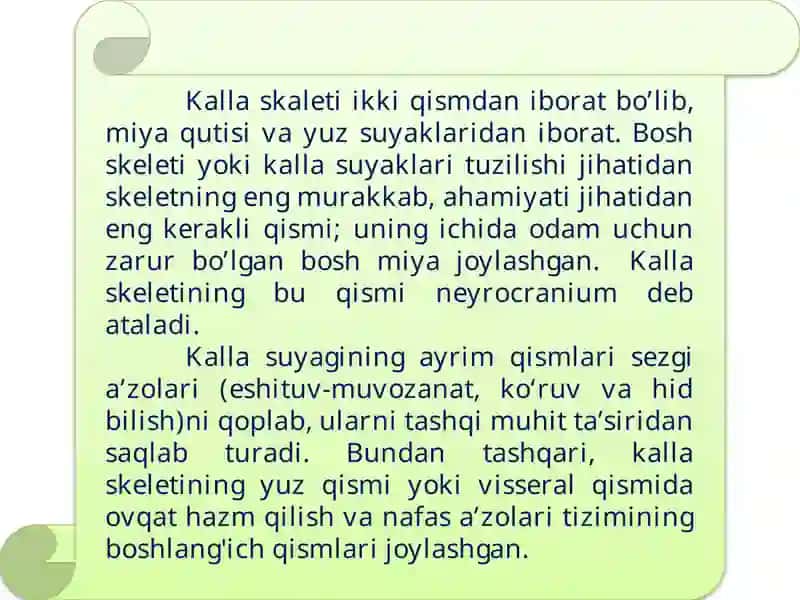 Bosh skeletining tuzilishi va birikishi 2