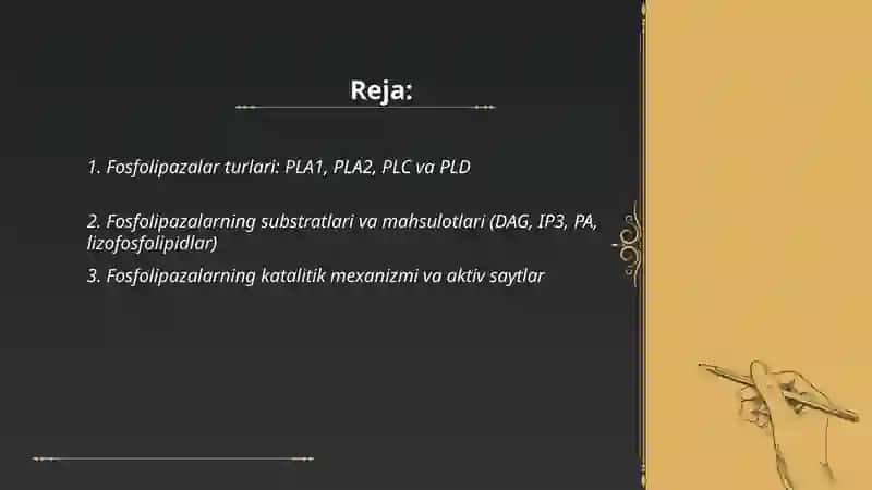 Fosfolipazalar va ularning ta’sir qilish mehanizmi 2