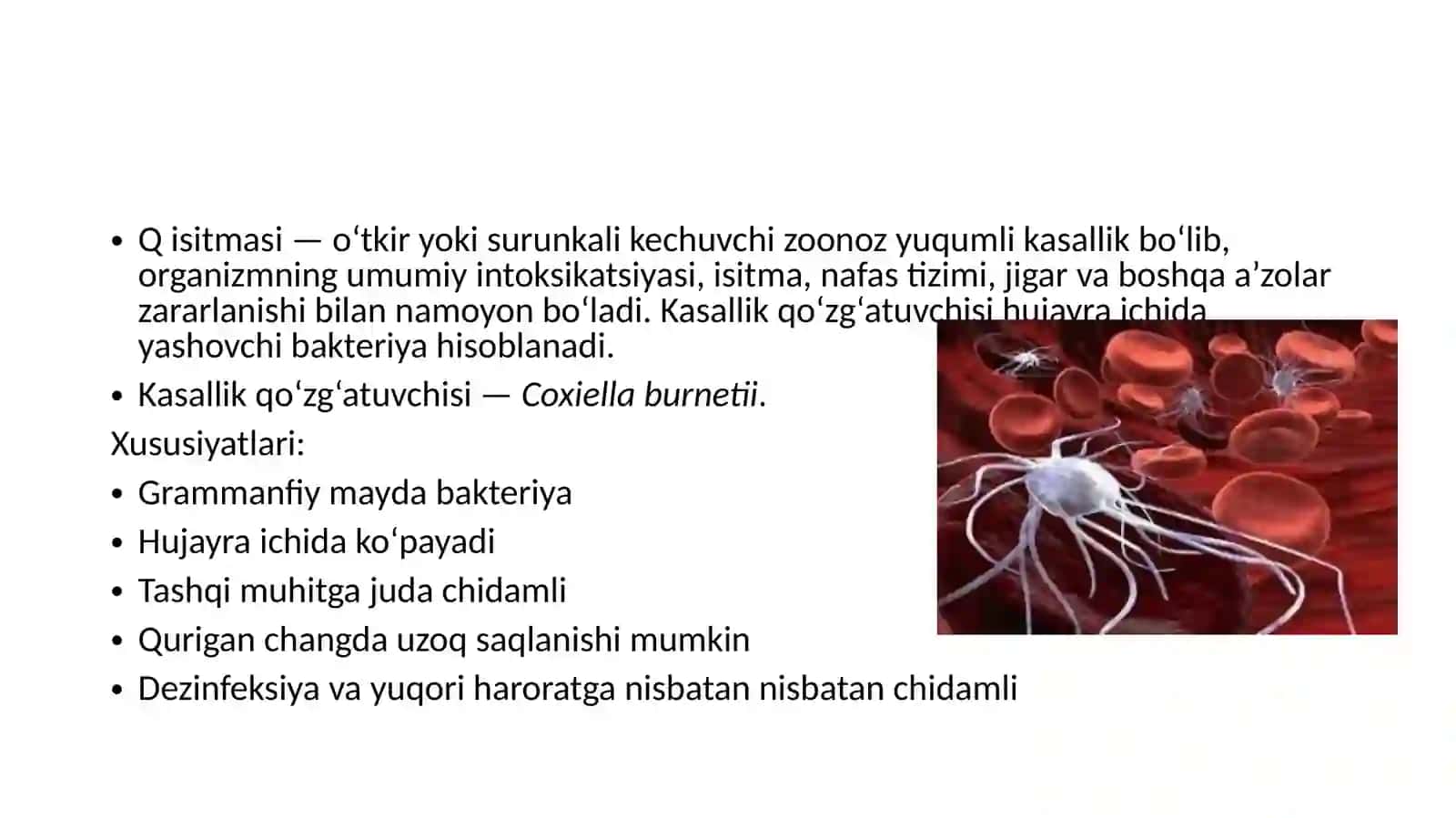 Q isitmasi 2