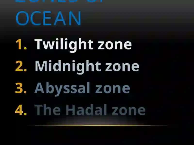 Zones of ocean 2