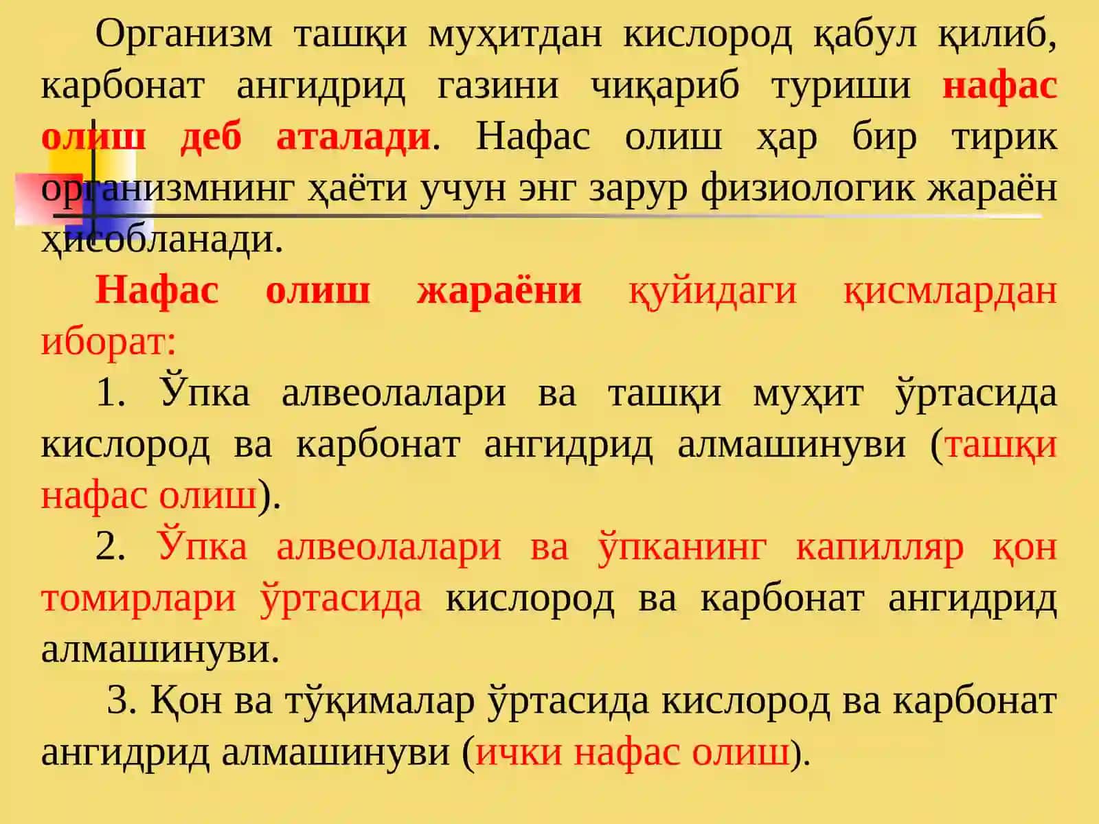 Ташки нафас патофизиологияси 2