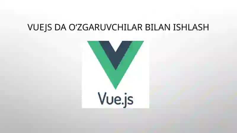 VueJS da o‘zgaruvchilar bilan ishlash 2
