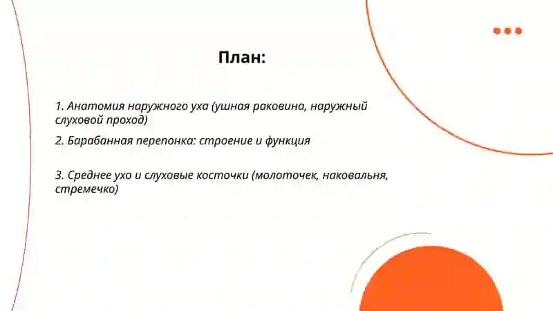 Органы слуха и обоняния 2