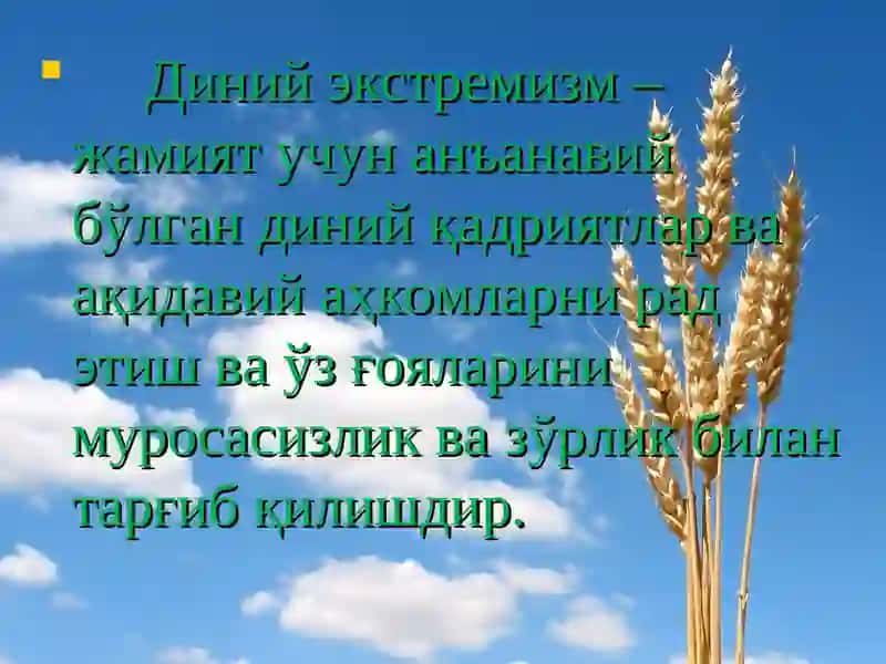 Диний экстремизм ва терроризм 2