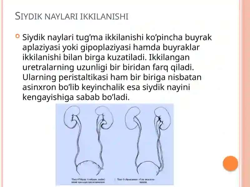 SIYDIKYO‘LLARI TUG‘MANUQSONLARI 2