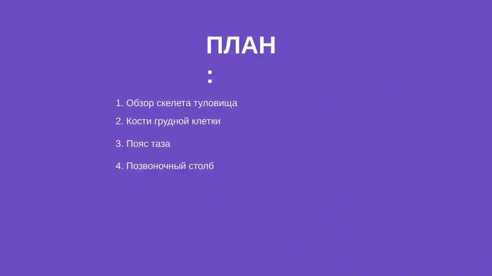 Скелет туловища 2