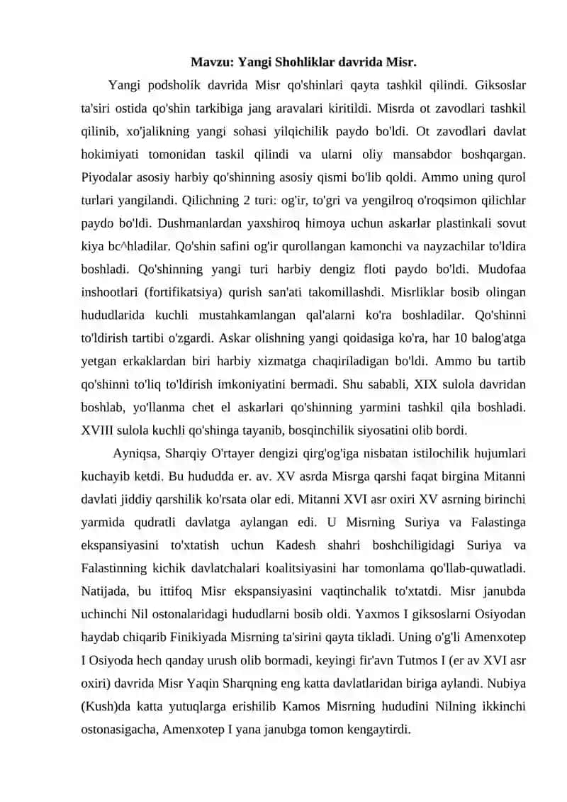 Yangi Shohliklar davrida Misr 2