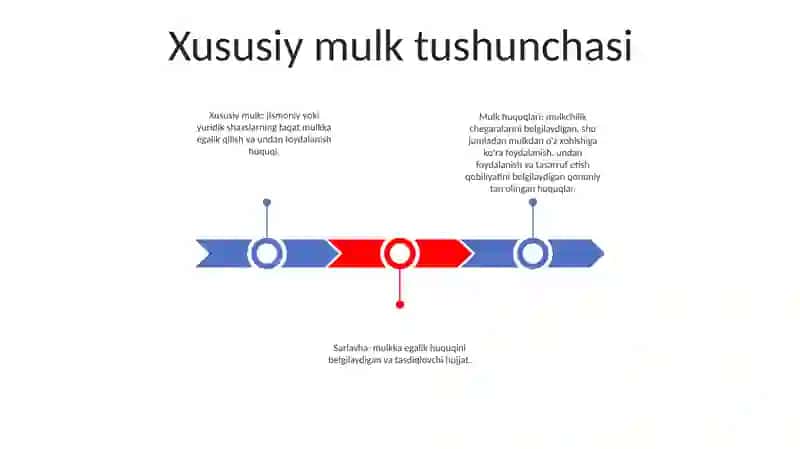Xususiy Mulk 2