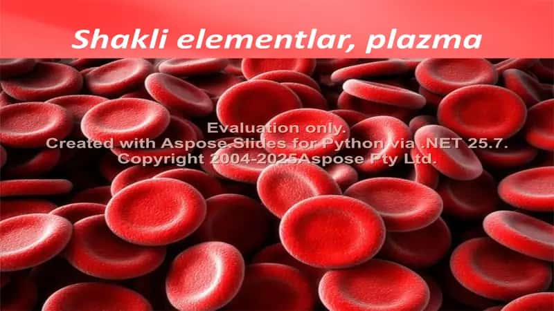 Qonning tarkibi va shaklli elementlari 2