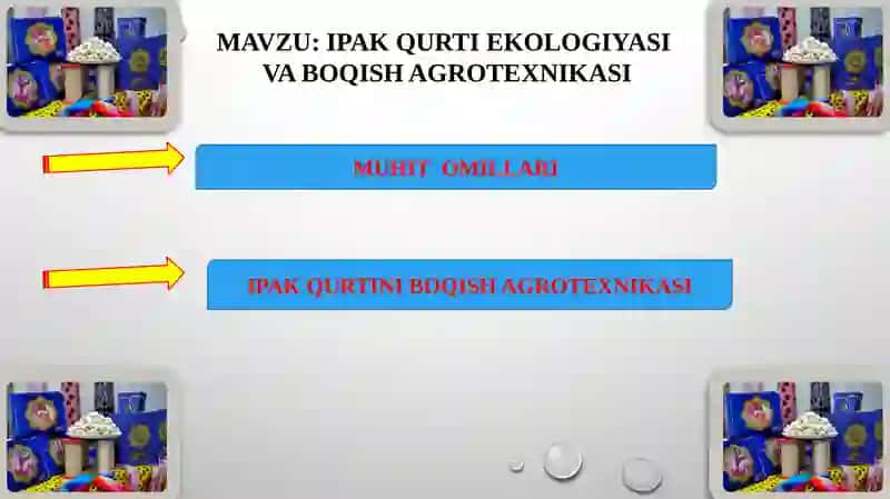 IPAKQURTI EKOLOGIYASI 2