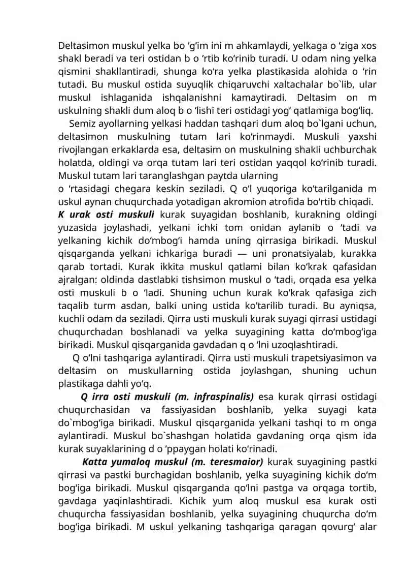 MA’RUZA MATERIALLARI 2