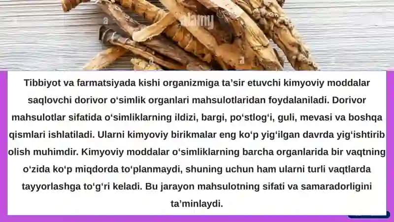 Dorivor o'simliklarning mahsulotlarini tayyorlash 2
