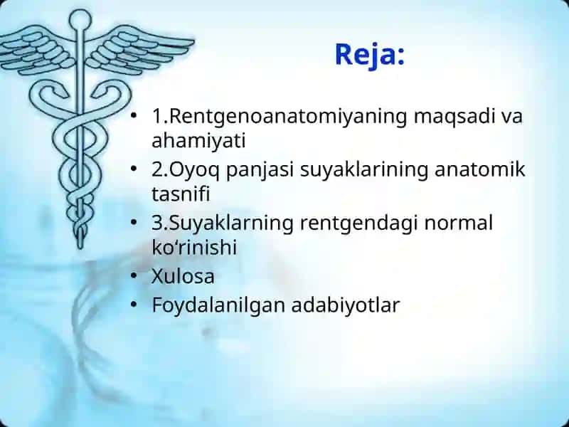 Oyoq panjasi suyaklarining rentgeno anatomiyasi 2