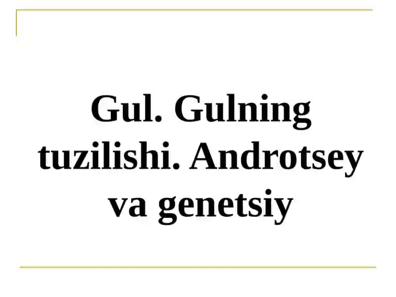 gulning tuzilishi. Androtsey va Genetsiy 2