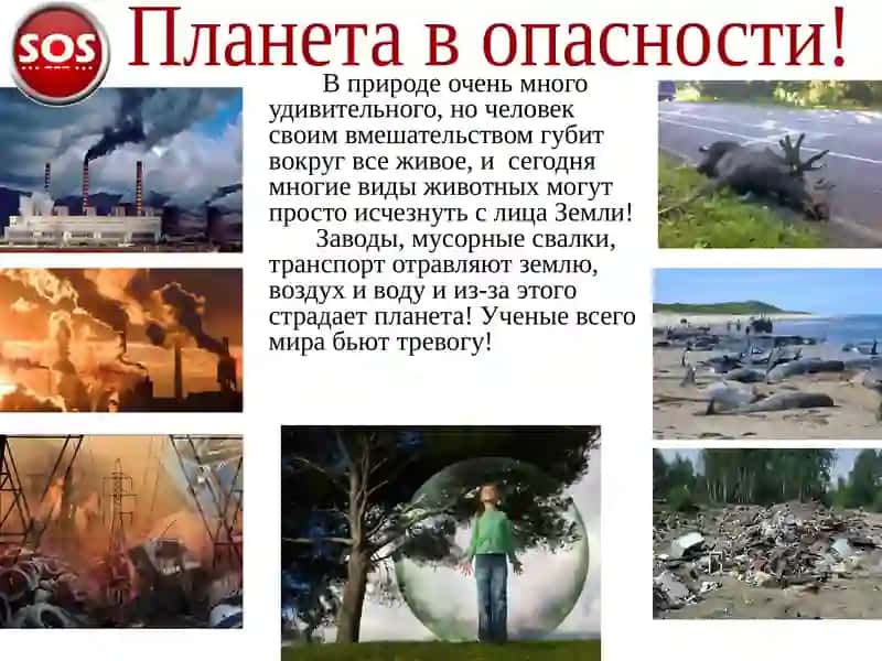 Глобальные экологические проблемы 2