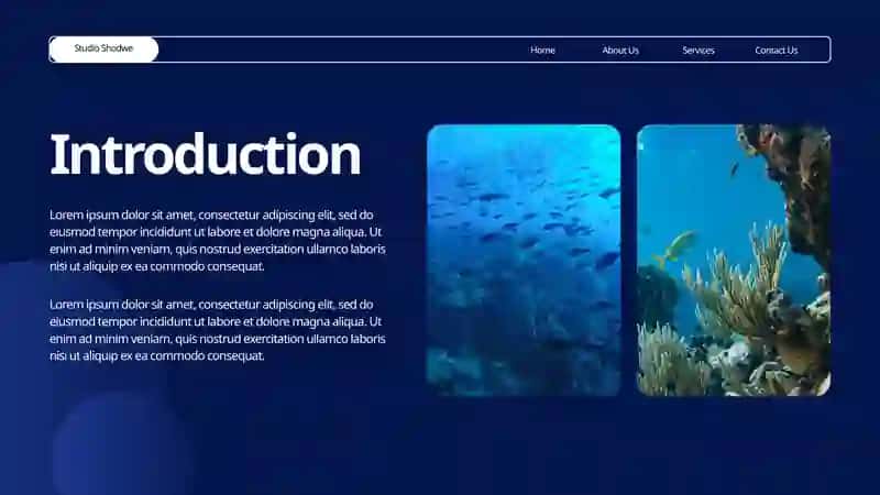 The beauty of Ocean 2