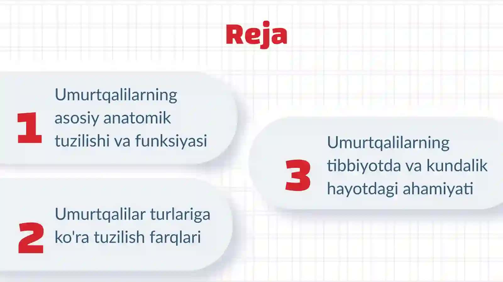 Umurtqalilarning tuzilishi 2
