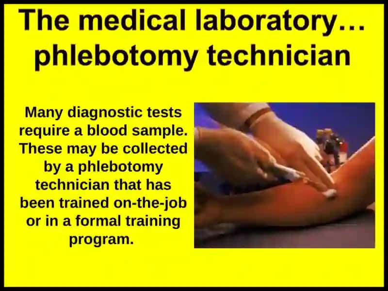 Venipuncture and Blood Collection Procedure 2