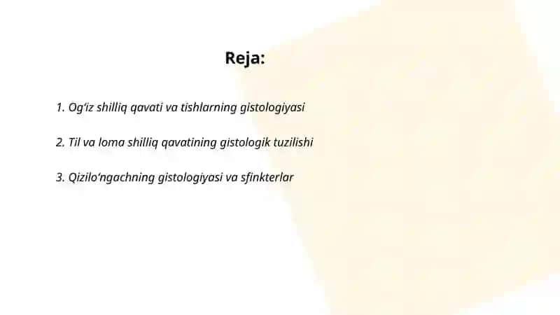 Ovqat hazm qilish tizimi gistalogiyasi 2