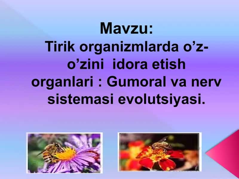 Gumoral va nerv sistemasi evolyutsiyasi. 2