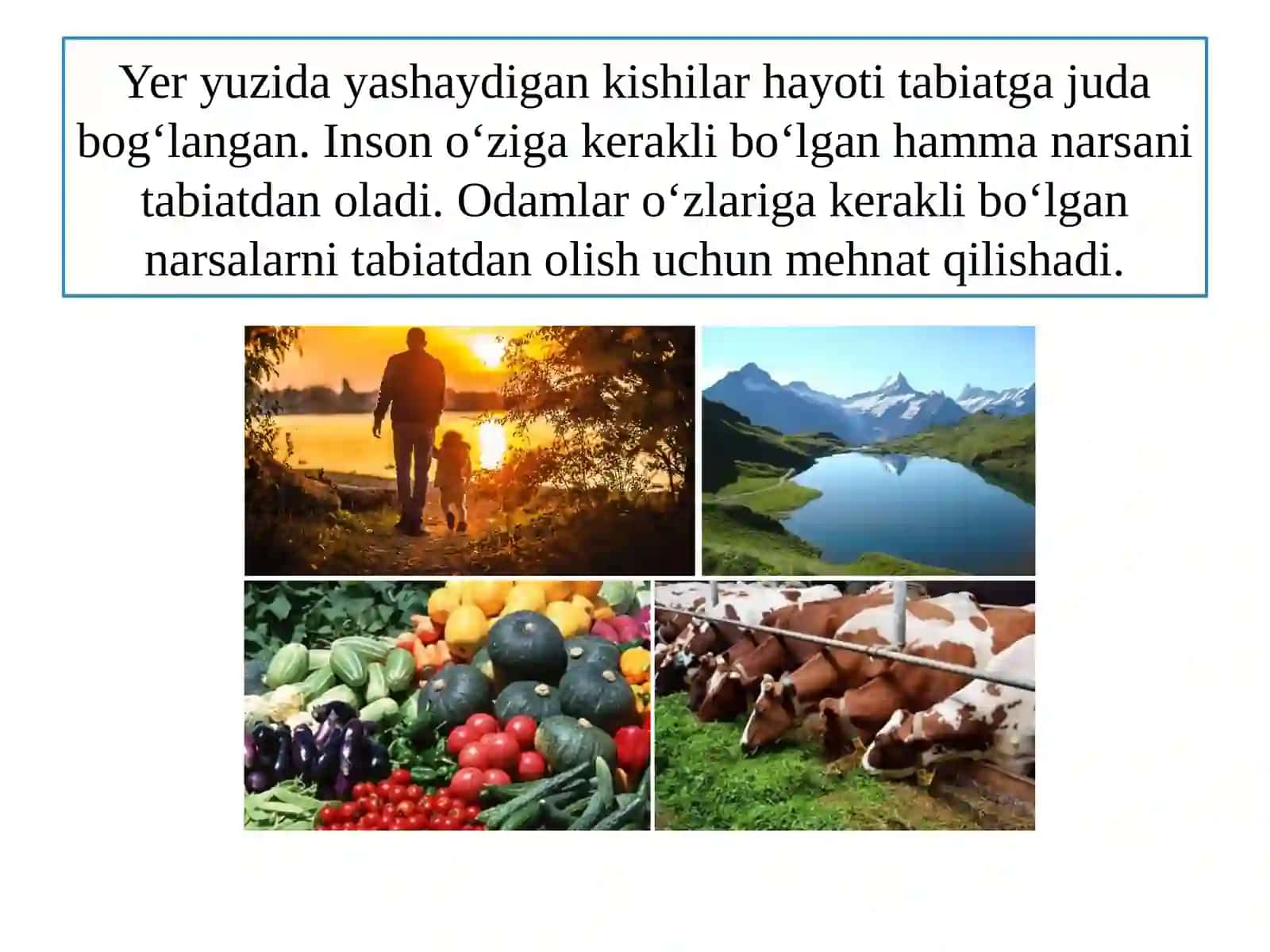 Materiklar va okeanlar tabiiy geografiyasi 2