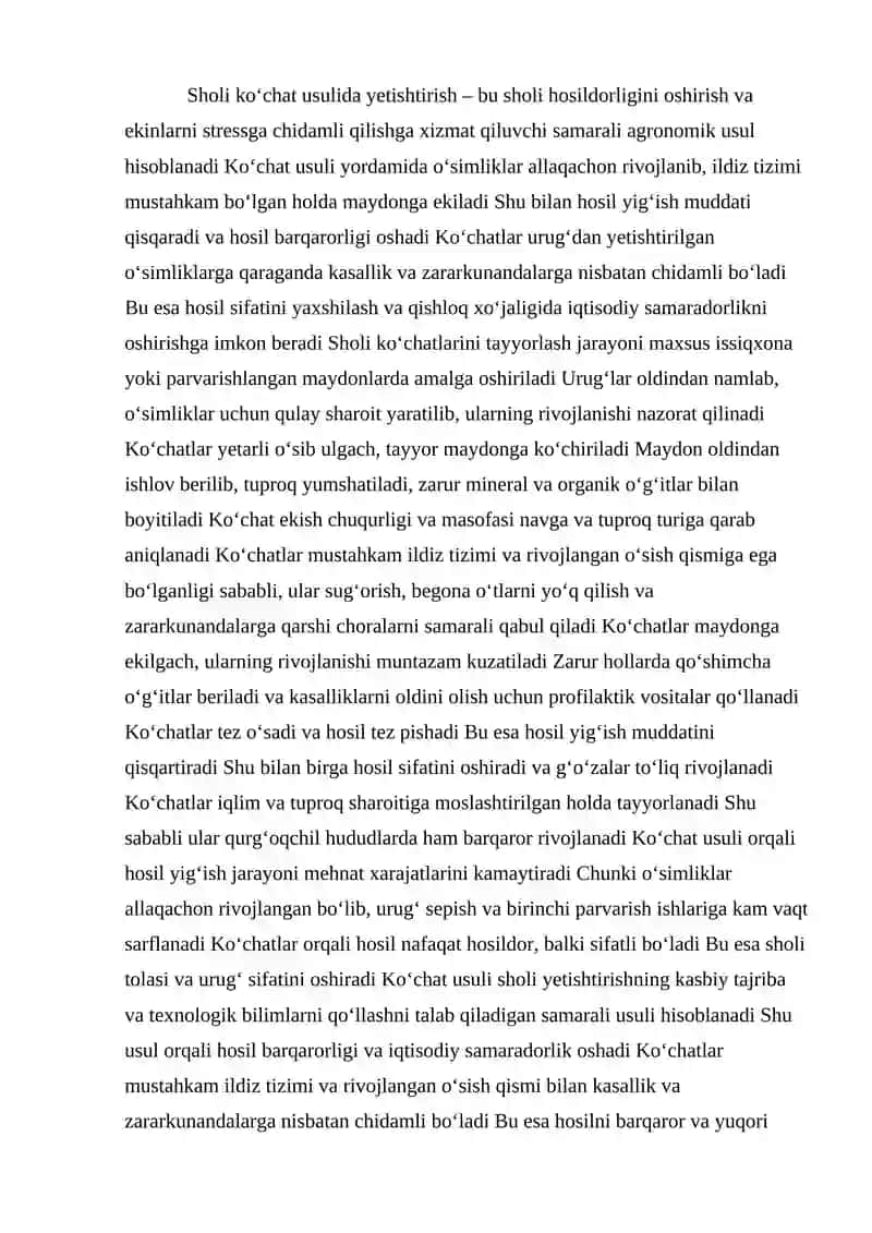 Sholini ko’chat usulida yetishtirish afzalliklari 2