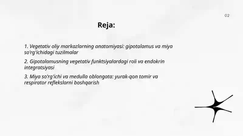 Vegetativ oliy markazlar va ularning funksional ahamiyati 2