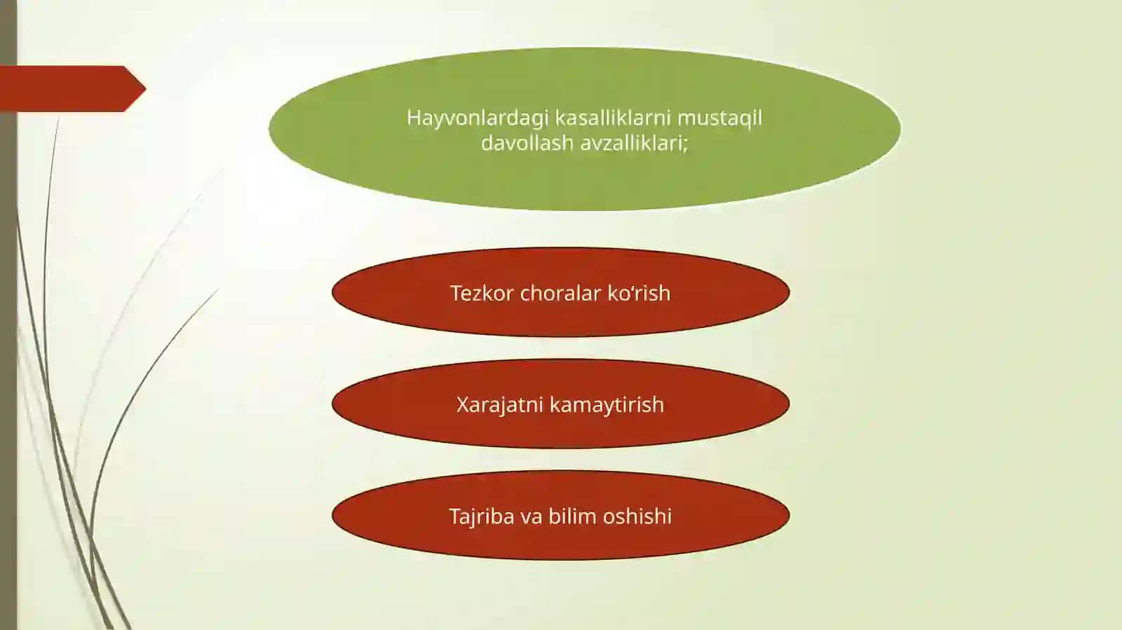 Hayvonlardagi kasalliklarni mustaqil davollash 2