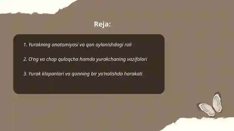 Yurakning qon aylanishdagi roli 2