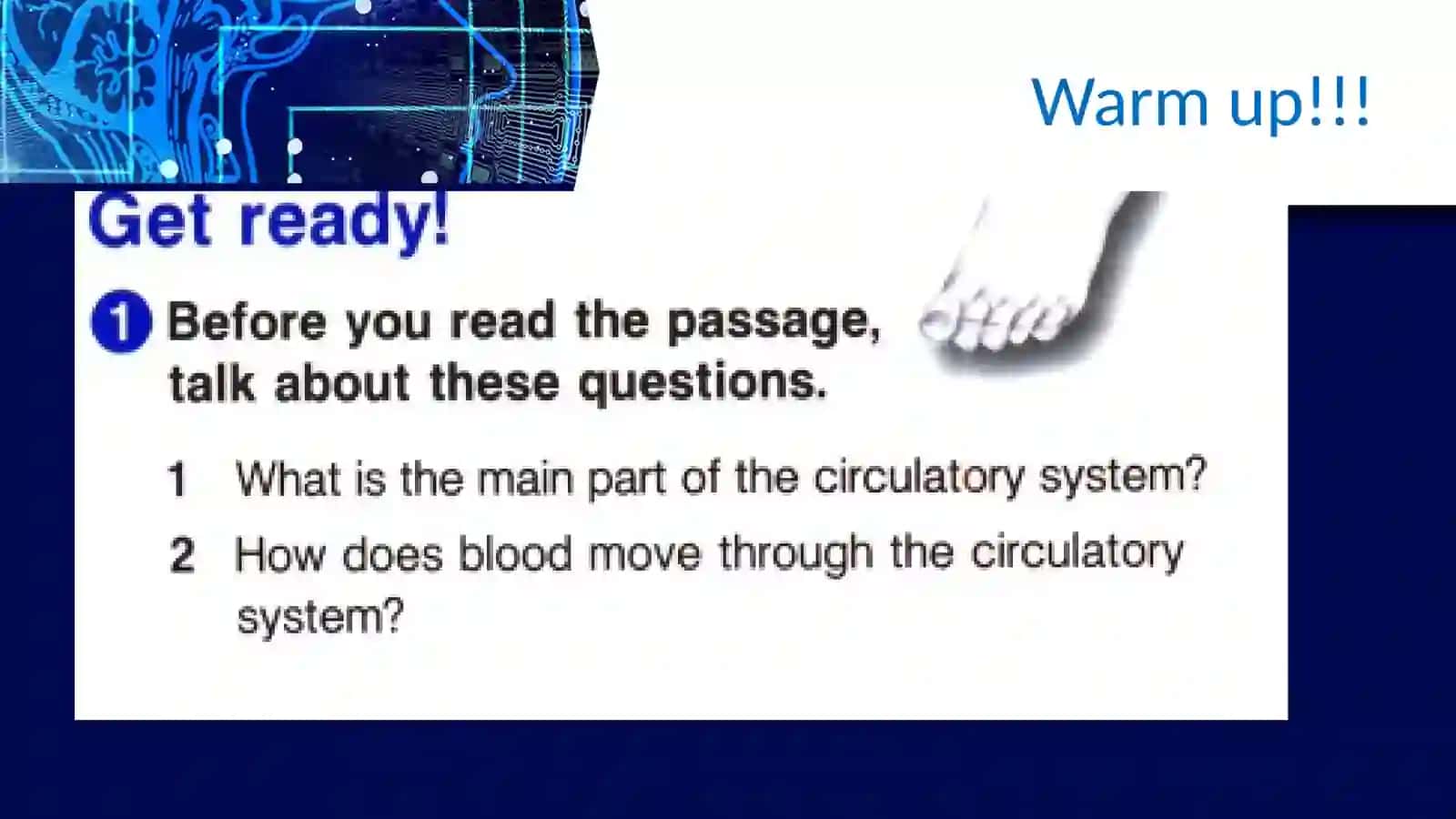 Circulatory system 2