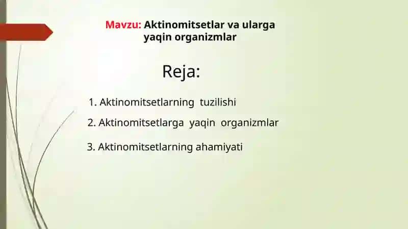 Aktinomitsetlar va ularga yaqin organizmlar 2